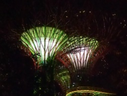 Singapour - Gardens By The Bay : Supertrees Groves