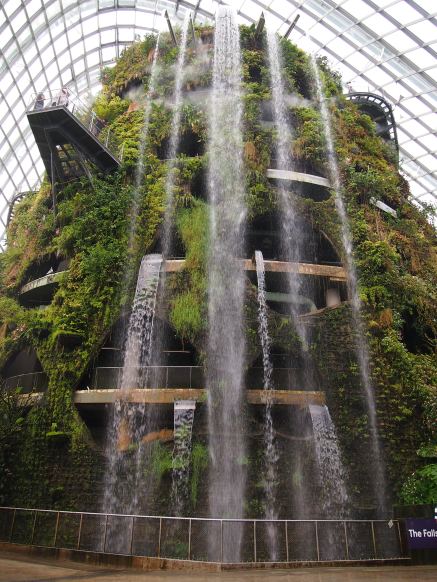 Singapour - Gardens By The Bay : Cloud Forest